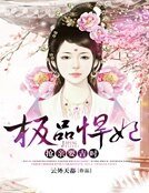 極品悍妃:搶镇要吉時